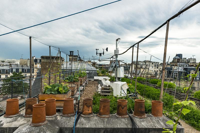 私享巴黎 | " 总有一天,我要回乡耕作,喂羊和收获.