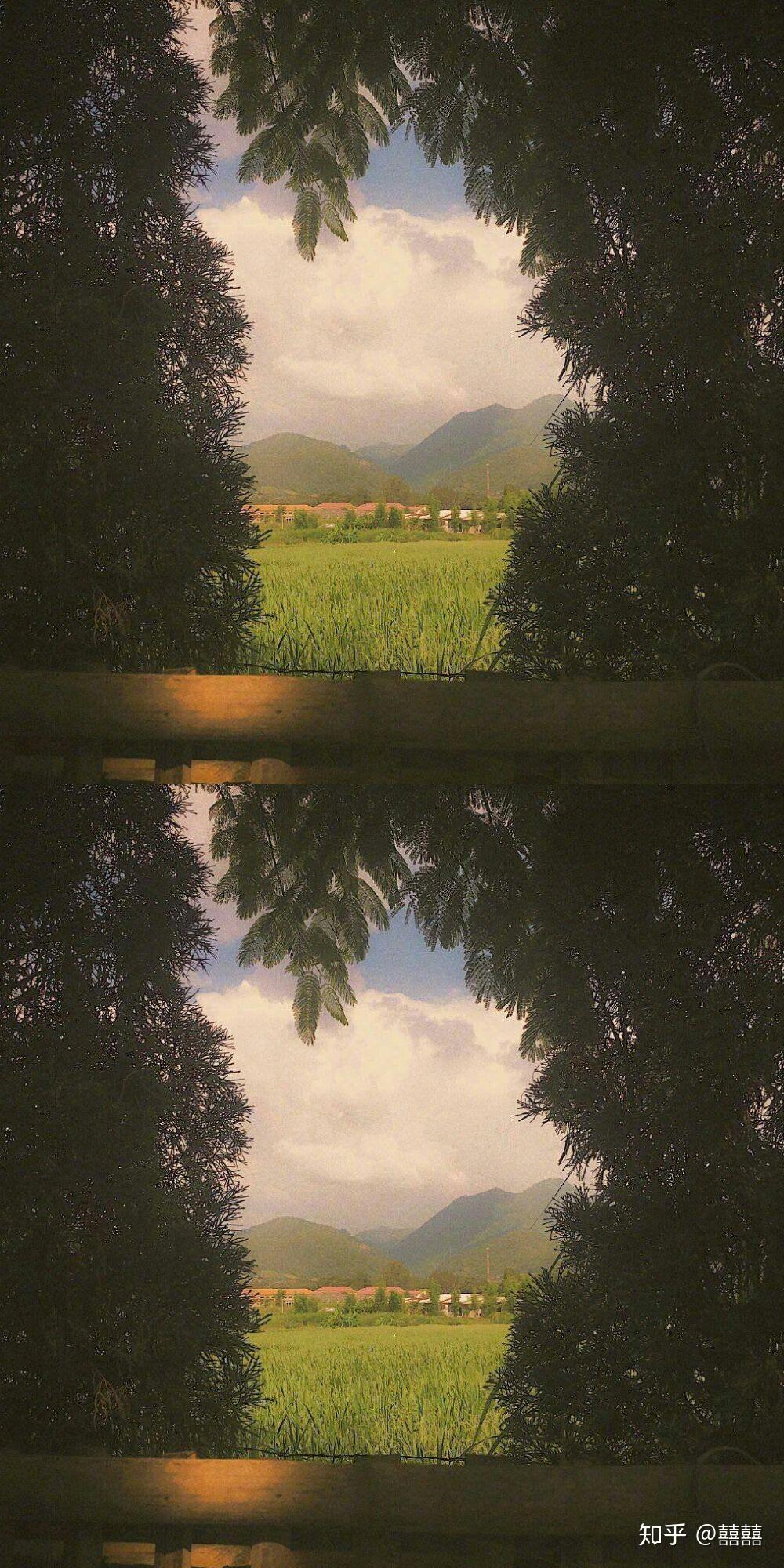 能给我一张你拍的最喜欢的照片嘛? - 知乎