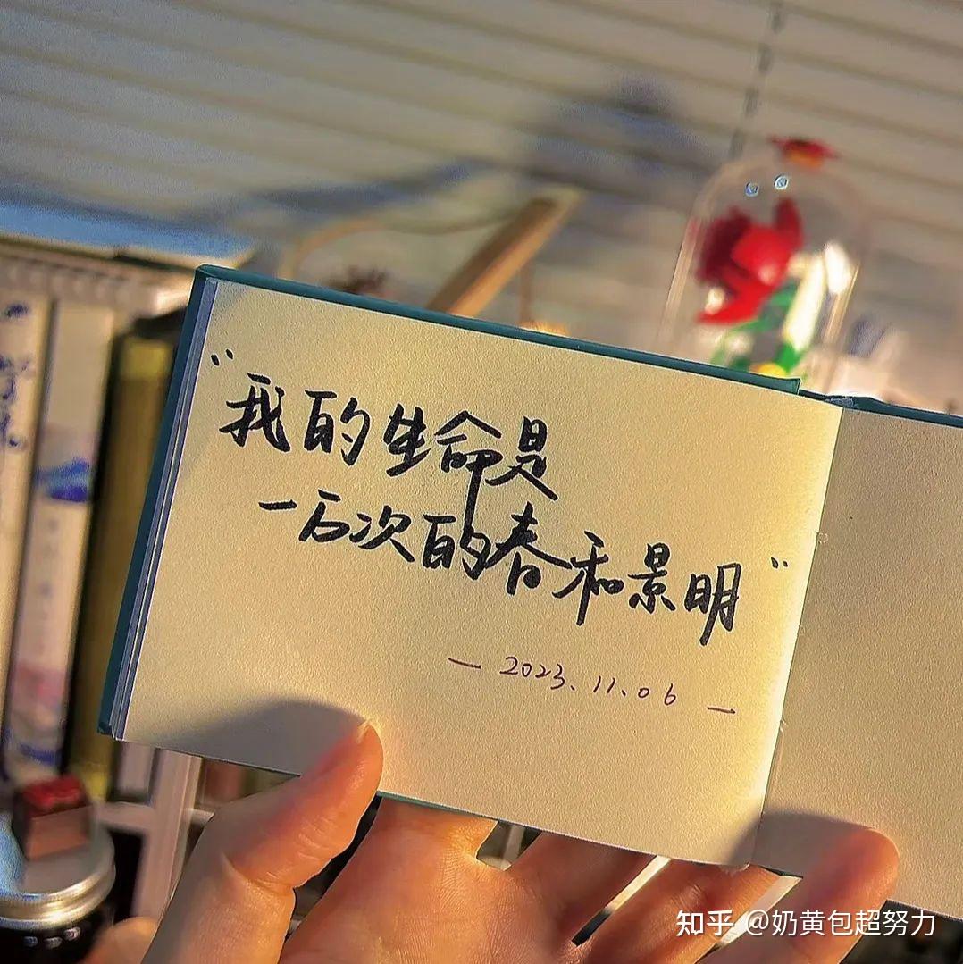 应届生怎么找工作啊啊啊?保姆级应届大学生找工作教程来了!! - 知乎
