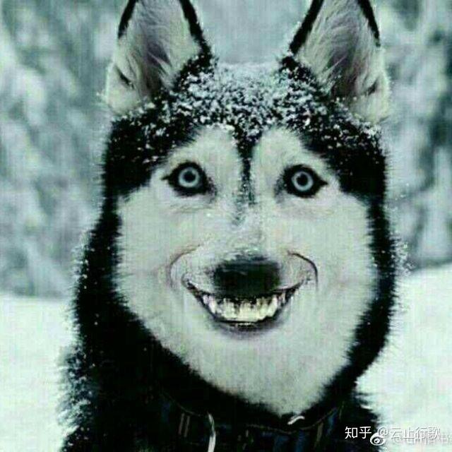 有没有很土或者特别的微信头像和签名看到第一眼就不想加的那种