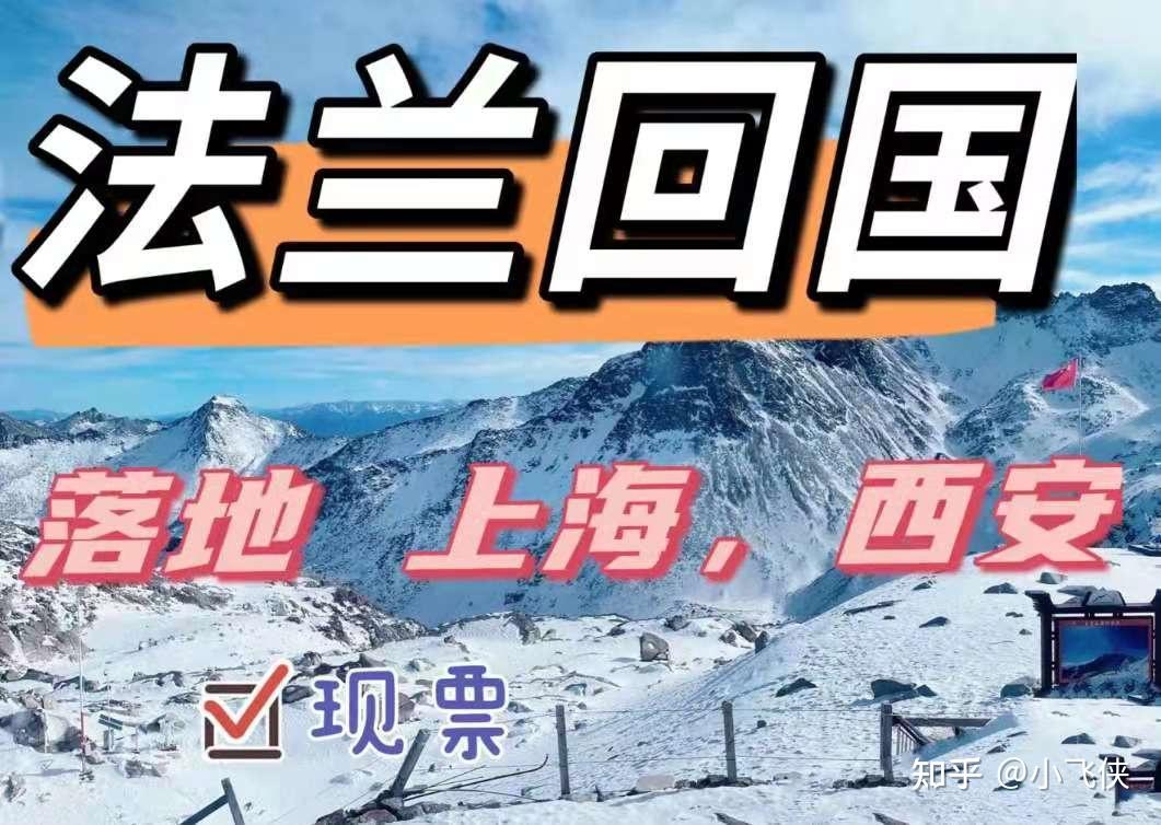 法兰回国#德国回国机票#法兰克福#回国机票#登机#核酸检测