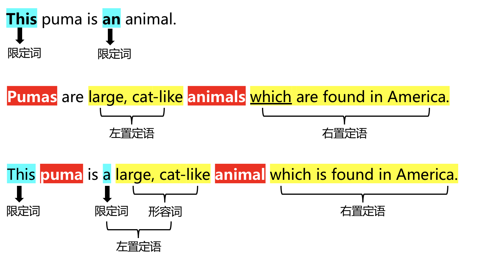 【定语超精解】咱来扒一扒A Puma at large - 知乎
