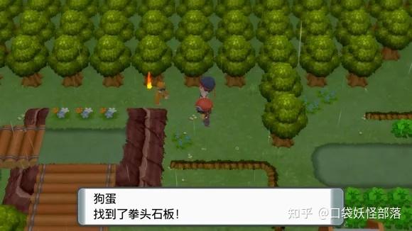 宝可梦晶灿钻石发售日期(《宝可梦晶灿钻石明亮珍珠》一周目图文攻略)  第129张