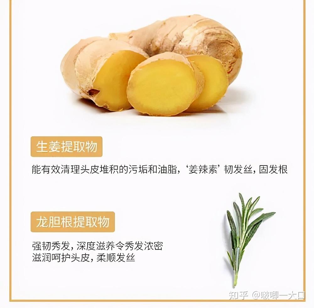 kono强韧活力洗发水科学净护防脱固发养发