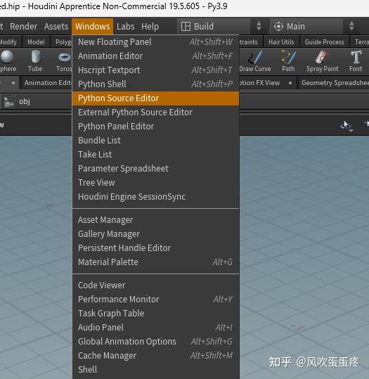 Houdini vscode 