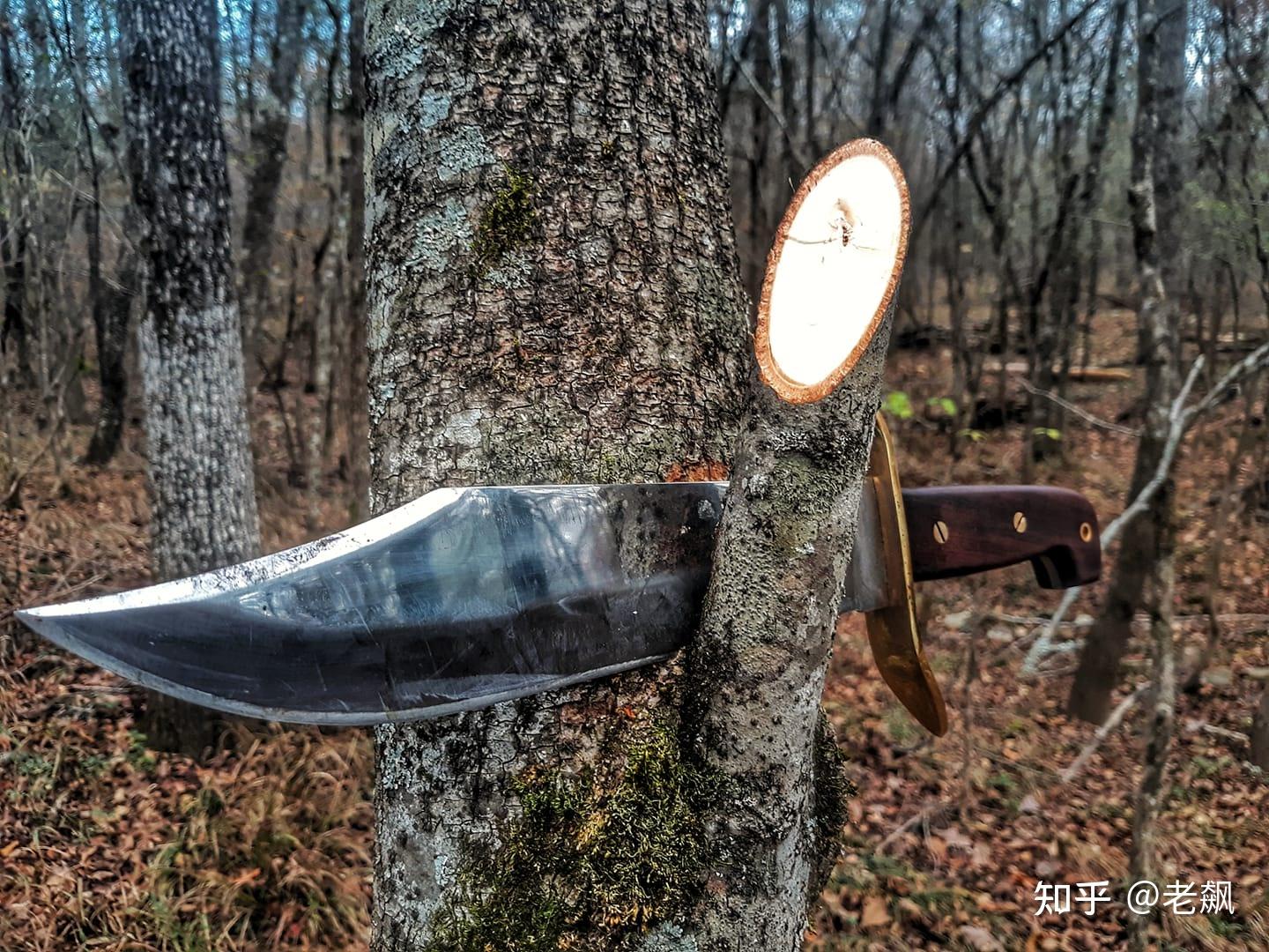 每周刀谈(第191期):冷钢意大利长剑