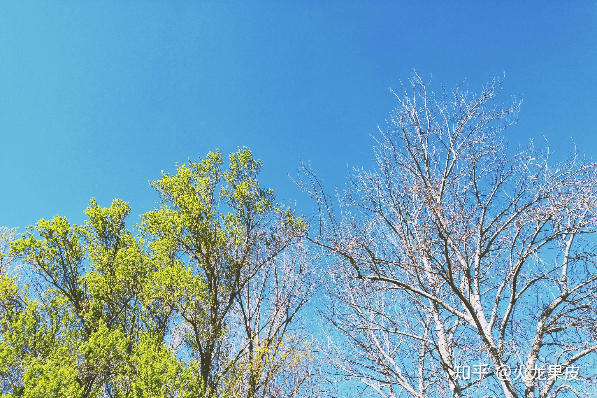 有拍下很好看的天空图片吗