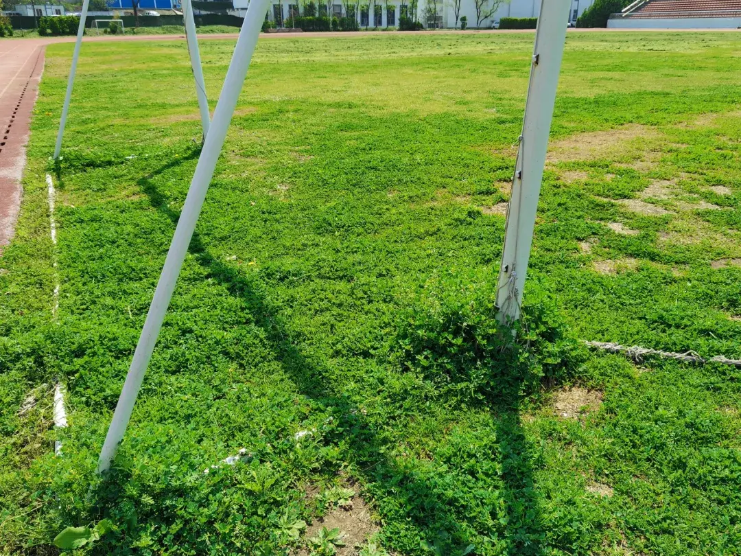 多利隆人造草坪还你一片青青足下草多利隆人造足球草坪建造指南