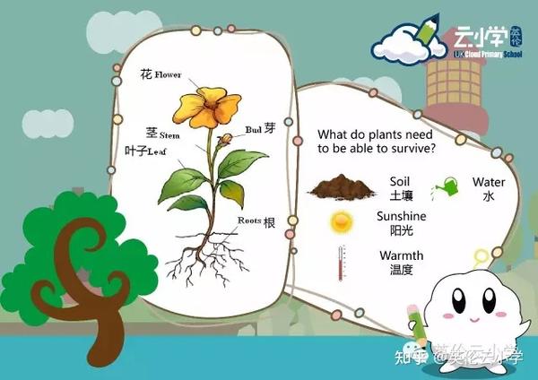 英国小学1年级科学课 孩子到底能学到什么 知乎