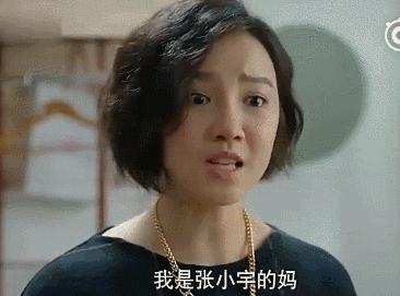 后来在《夺爱》中饰演齐欢,在《夫妻那些事》中饰演洪小梅,在《少年