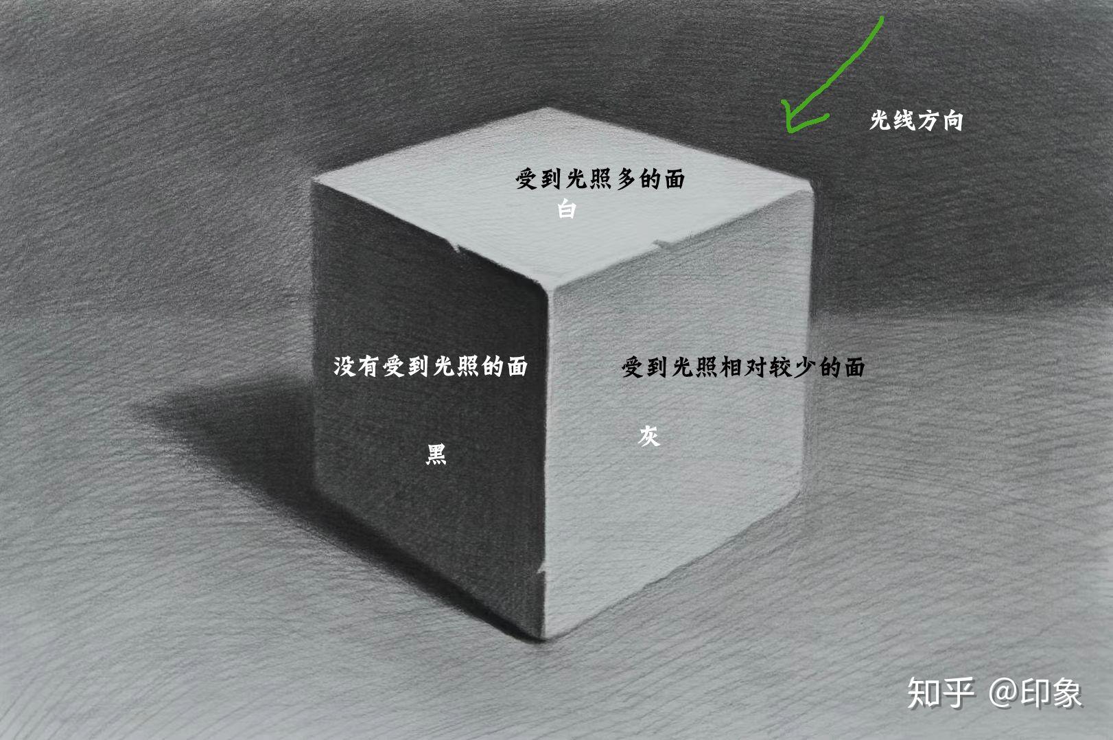 明暗五调子怎么画图片