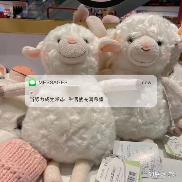 三观很正的爱情文案(三观很正的文案.)