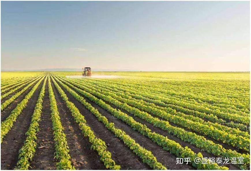 农业种植知识大全 农业种植知识大全视频