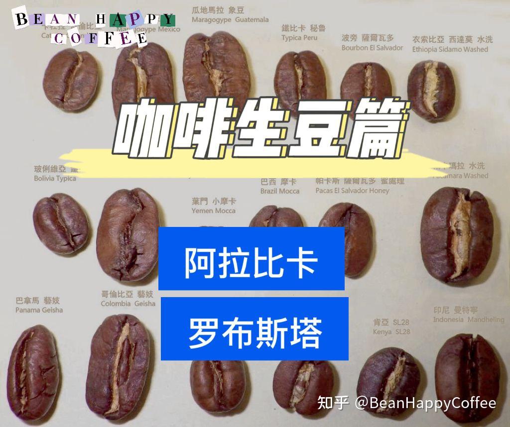 阿拉比卡&罗布斯塔咖啡品种大不同- 知乎