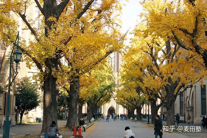 东京大学和清华大学选择哪一个?
