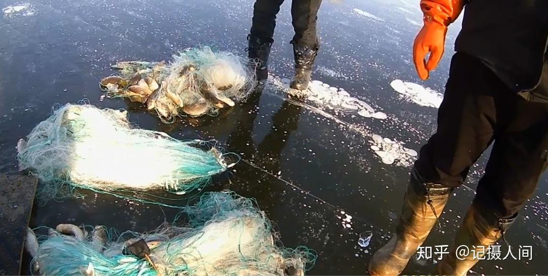 气温零下!北京通州潮白河上有人凿冰捞鱼被逮个正着 - 知乎