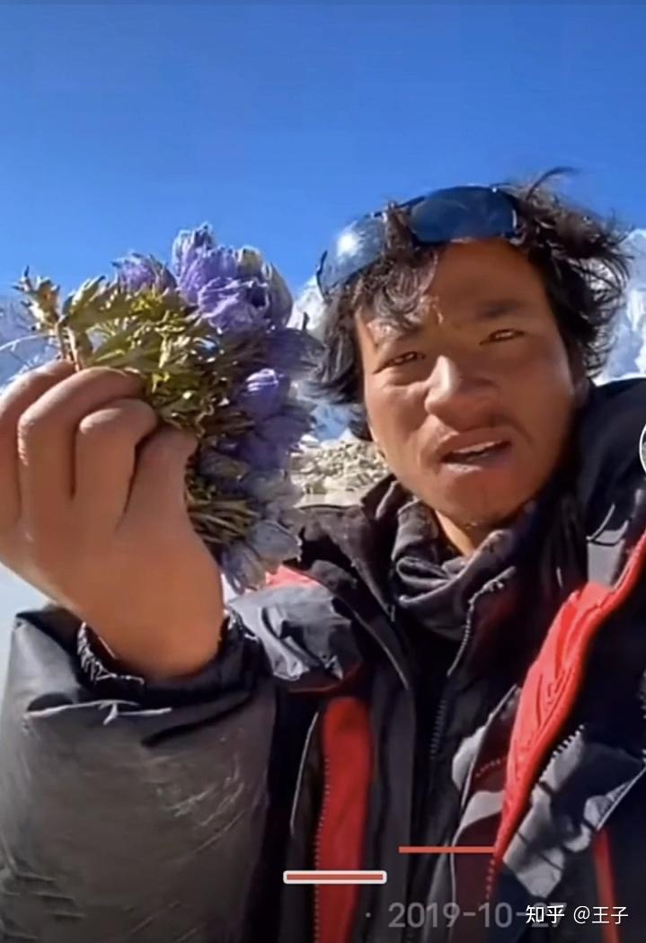 西藏冒险王集锦(一)1/4