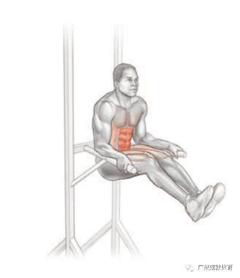 八块腹肌怎么训练1天就可以的 v2-22d7a87d5a66495d60d563714de7dc0d_1440w.jpg?source=172ae18b