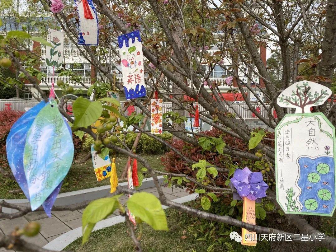 萧山区三星小学图片