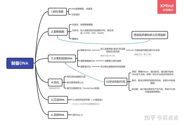 植物基因工程(一)——DNA的提取方法 - 知乎