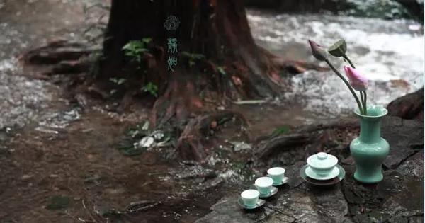 素心同调 花间事茶 知乎