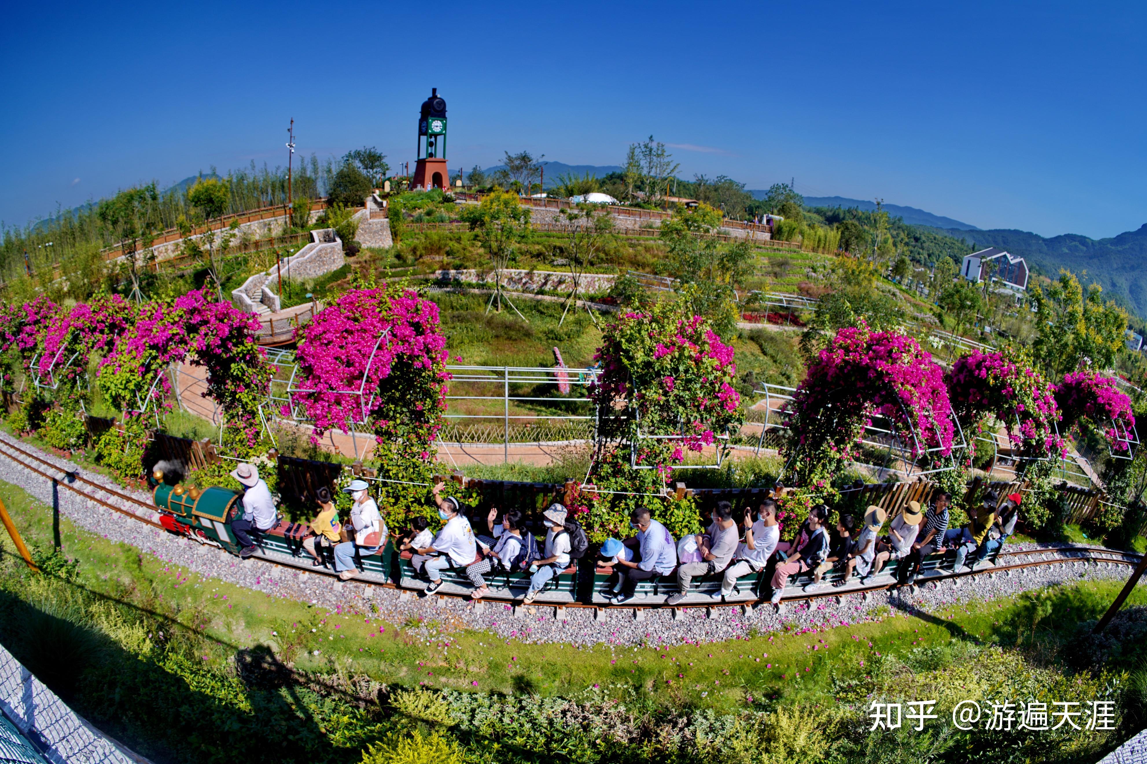 温州亲子游好去处泰顺松垟花开火车乐园大手拉小手阳光下行走