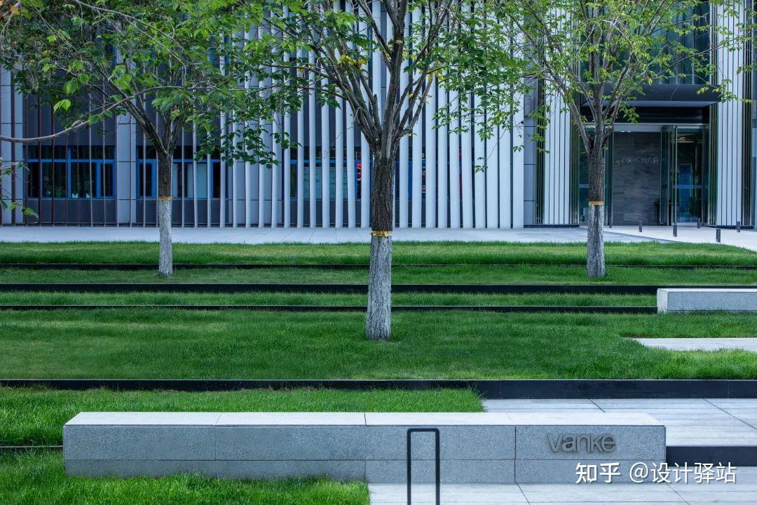 在新疆万科公园大道的项目中,从入口到售楼部存在较大的高差,设计巧妙