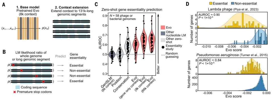 登Science封面！基因组基础模型Evo重磅发布，AI解码分子、DNA、RNA和蛋白质 - 知乎