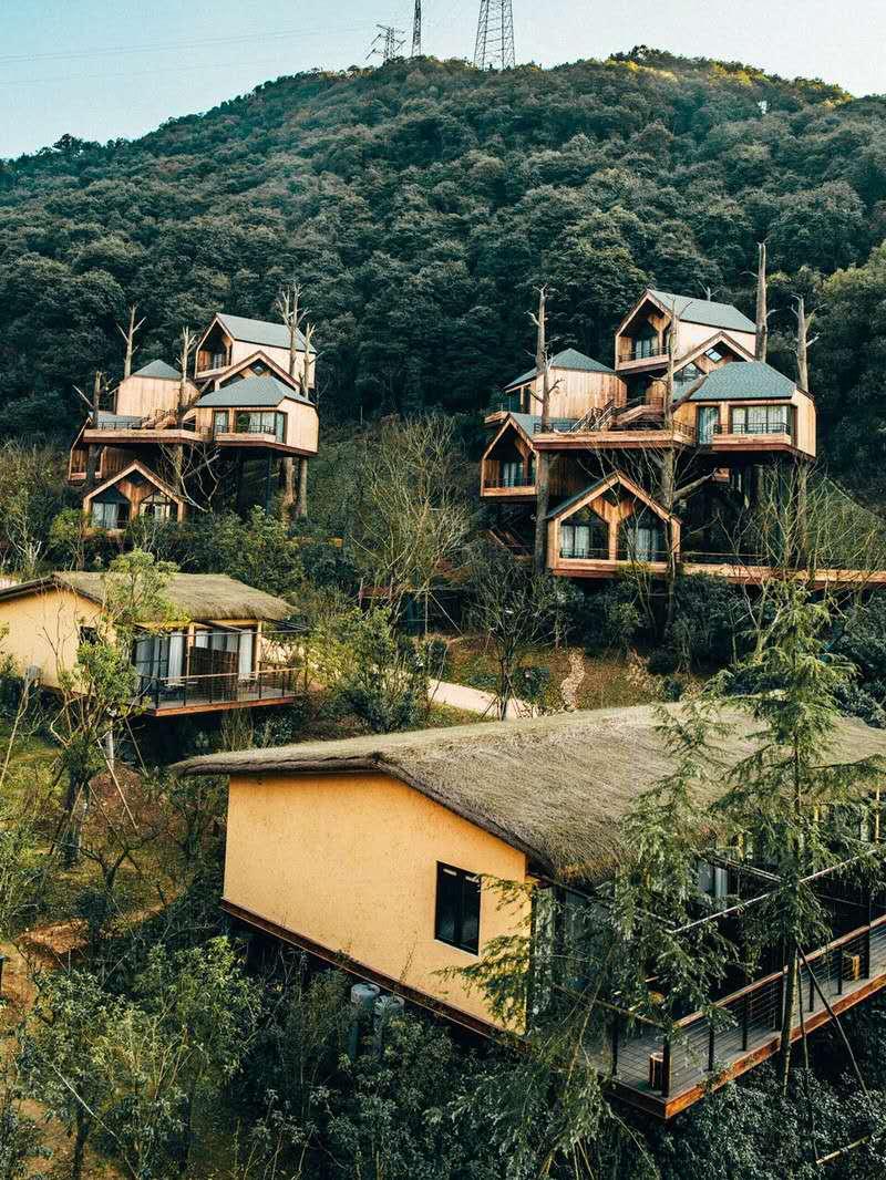 杭州网红拍照打卡地新晋童话树屋酒店