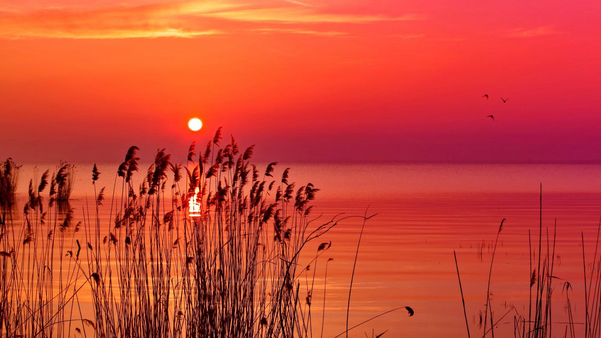 最美的朝霞照片