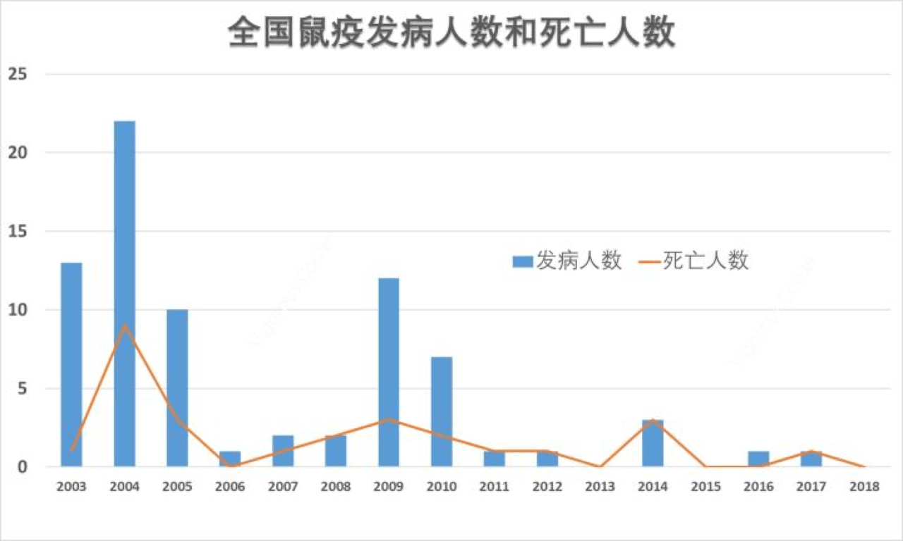 鼠疫牛图片