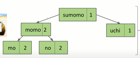 Binary search trees - 知乎