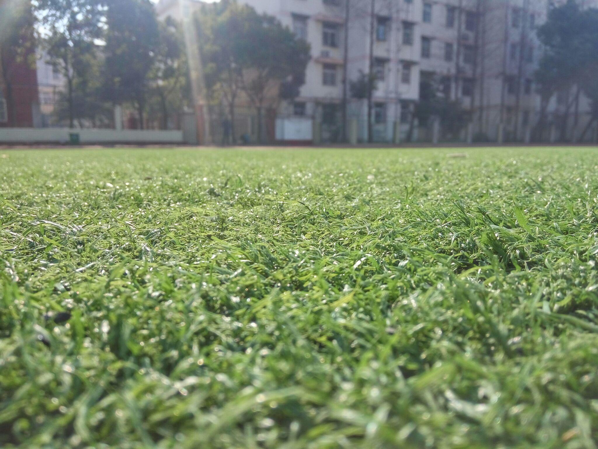 你读过的最让人心酸的句子有哪些? - 会飞的雨