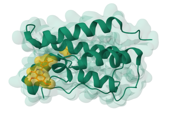 案例分享丨如何在不确定蛋白结合口袋的情况下,快速进行分子对接? 知乎