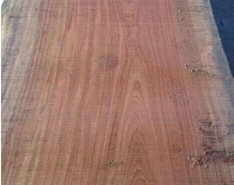 红斑马木是什么木红斑马木最完整的全面图文介绍