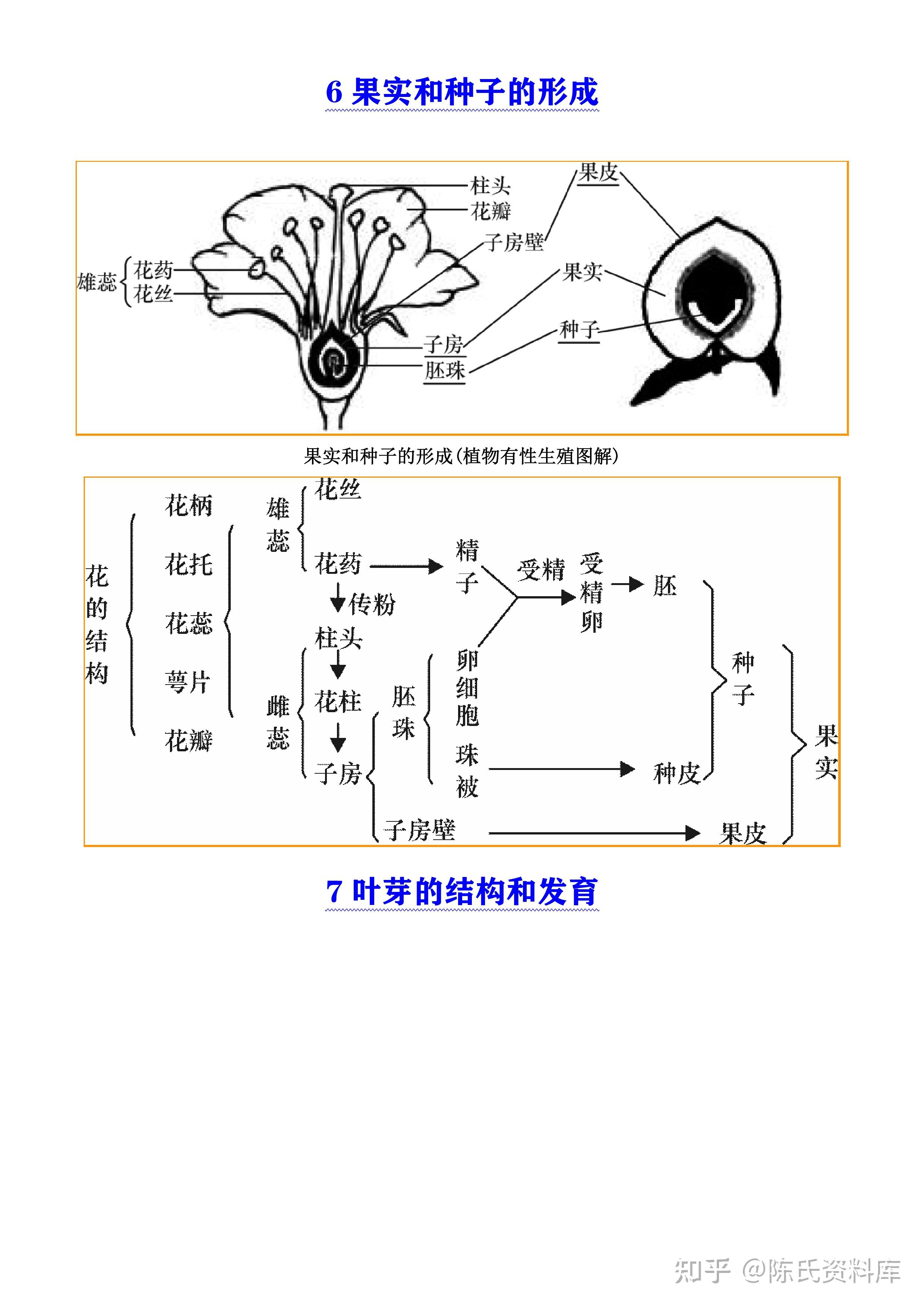 【初中生物】吃透这24幅结构示意图轻松搞定全册生物识图题