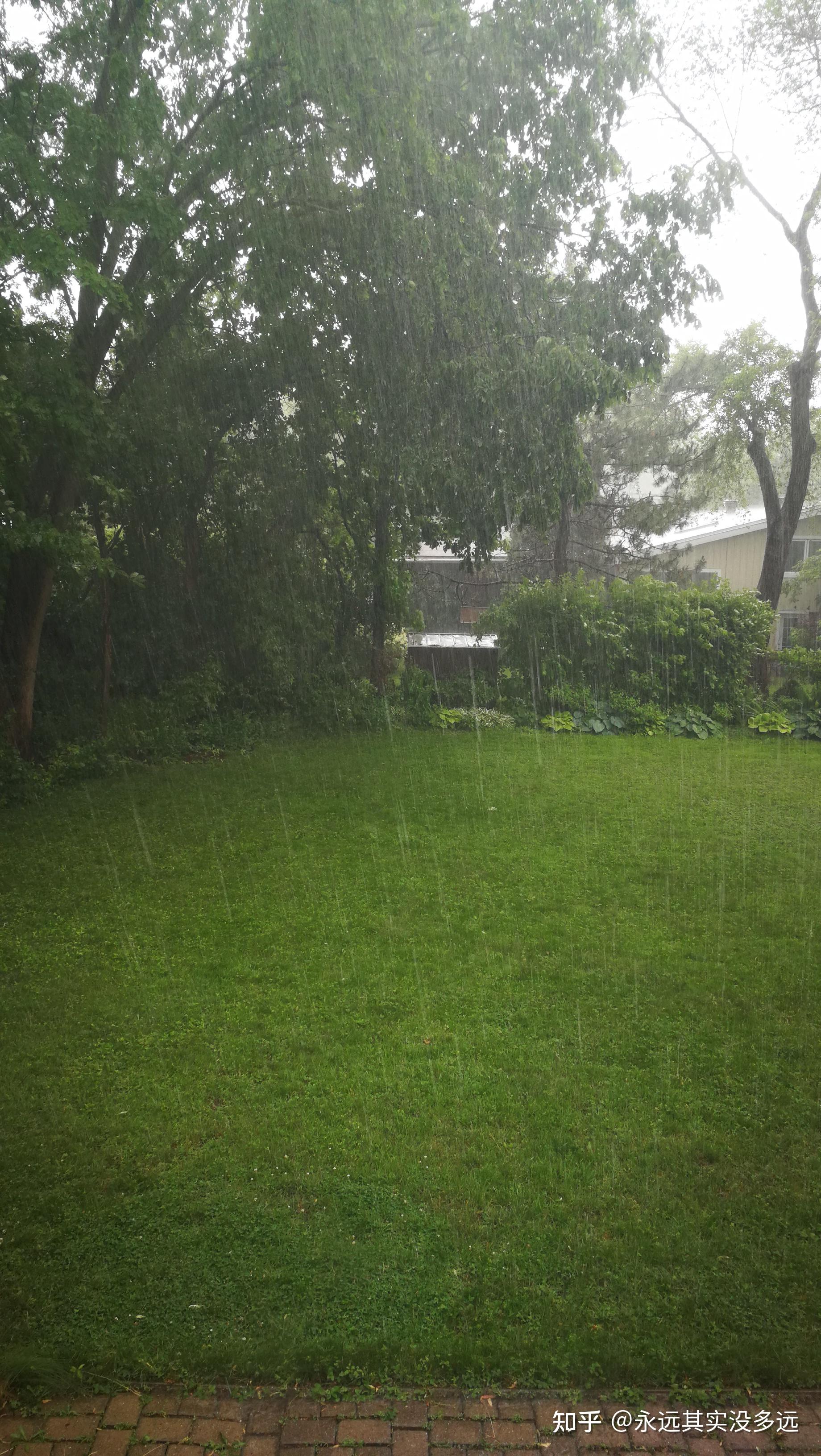 天突降大雨 - 知乎