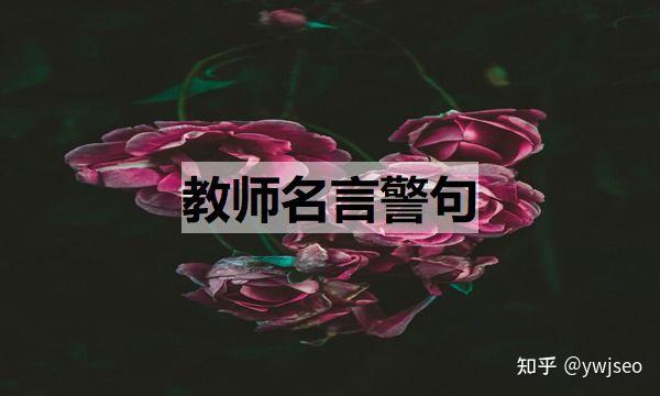 教师名言警句 教师名言警句励志短句 知乎