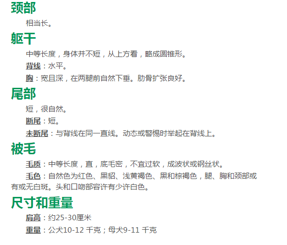 柯基犬种标准一关于犬种标准的解读