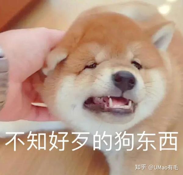 答案竟然是