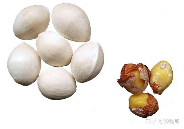 白果的正确吃法：10种银杏果的食用方法 - 知乎