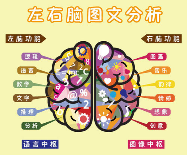 灵敏星开发右脑的五大好处及特点