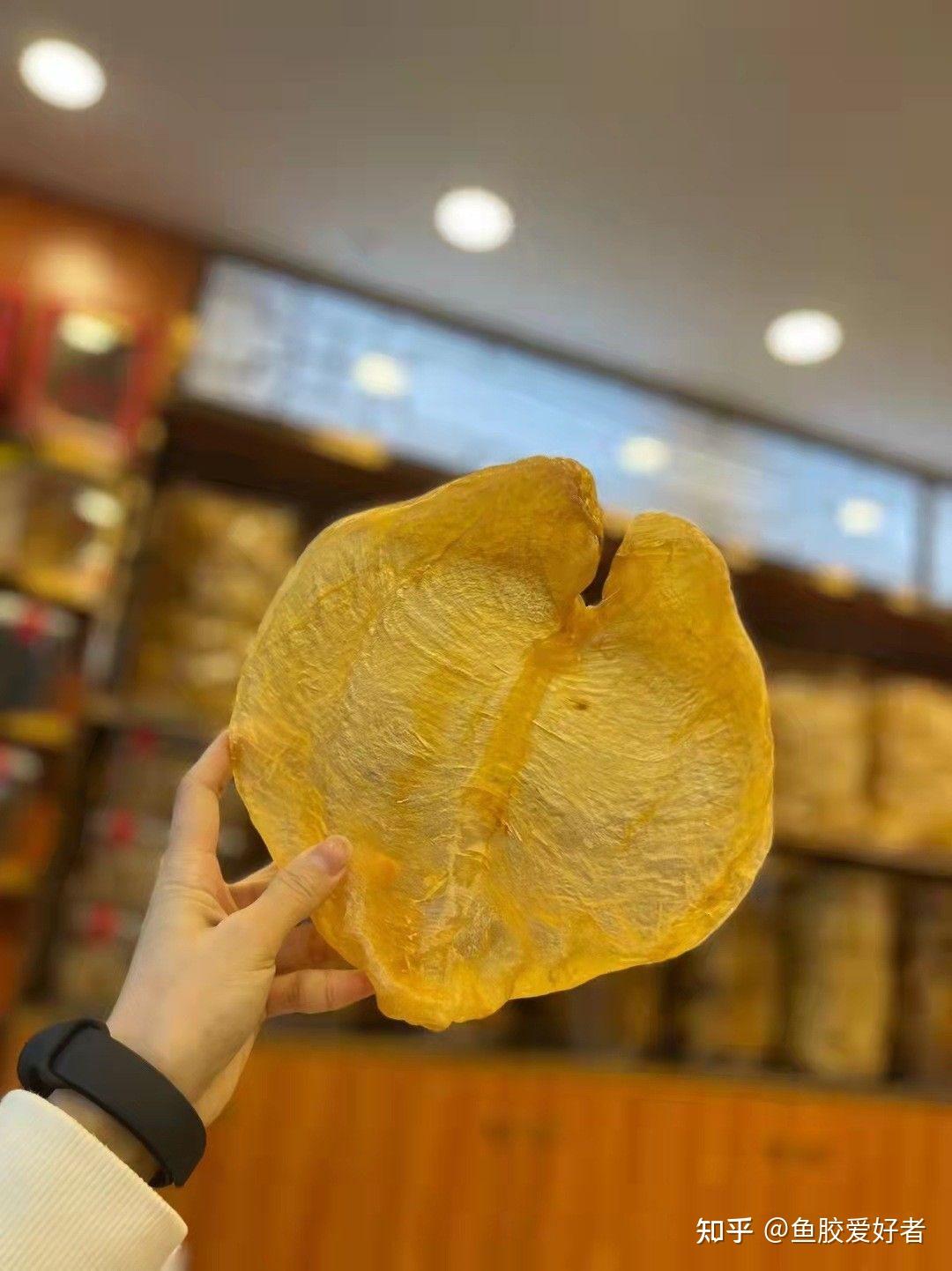 【非石首鱼篇】鱼胶小白都喜欢买的鱼胶都来自这类鱼! - 知乎