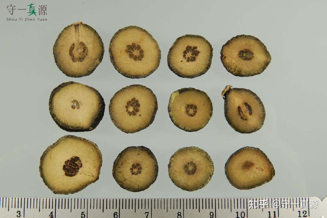 深入浅出聊枳实、枳壳之前生 - 知乎