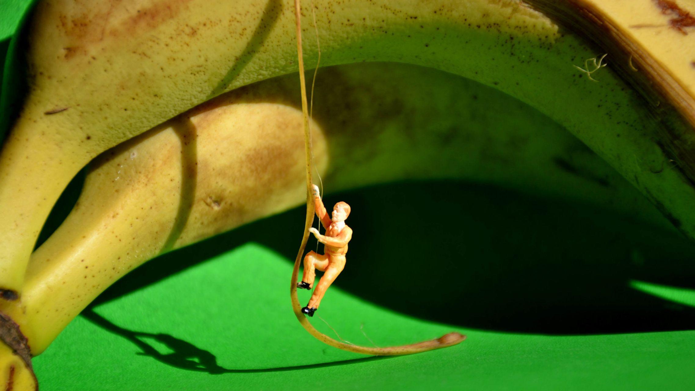 有哪些有趣的电脑壁纸值得分享?