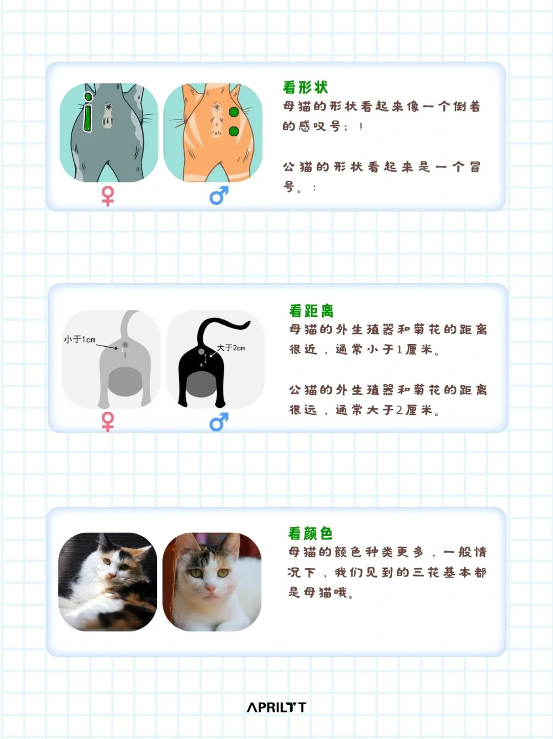 公猫和母猫的区别有哪些?教你一眼分辨! - 知乎
