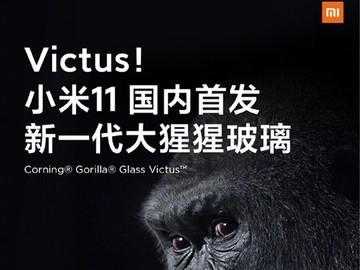 大猩猩玻璃Victus图片