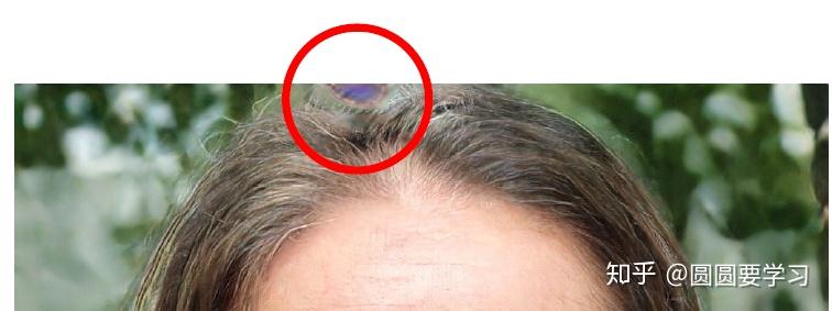 转载:StyleGAN & StyleGAN2 论文解读 转载:StyleGAN & StyleGAN2 论文解读