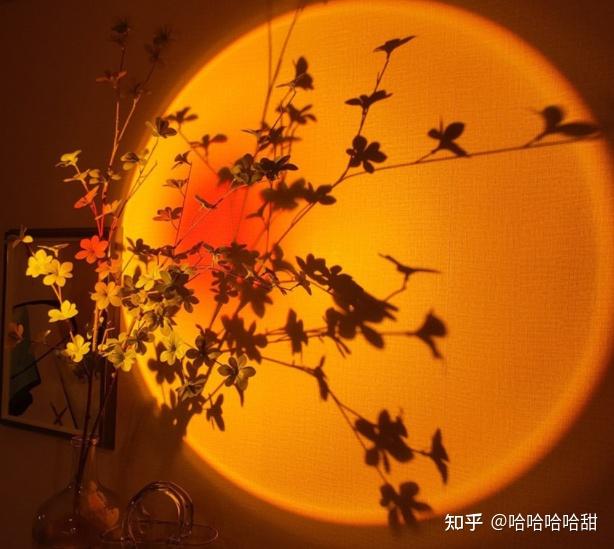 7.阳致宇航员日落灯