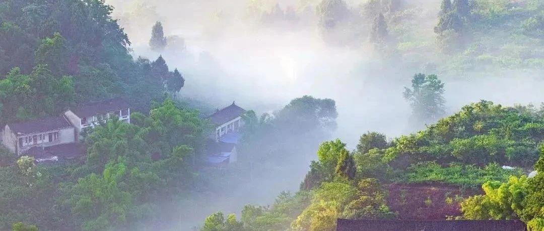 春深夏浅好时光 就在龙泉山城市森林公园 知乎 春深夏浅好时光 就在龙泉山城市森林公园 知乎